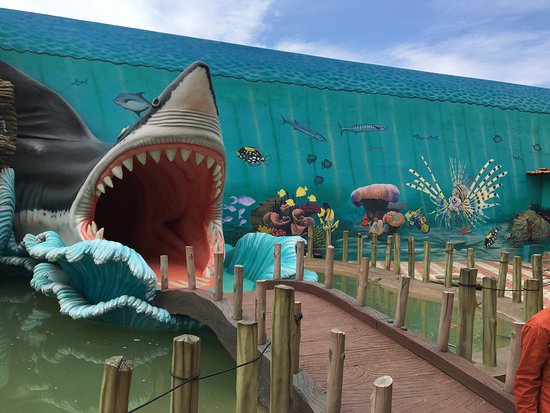 First Steps into Nature: Planet Earth Field Trip